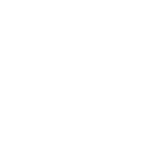Documenti</br>Organi Direttivi